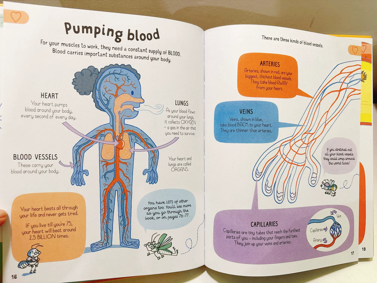 All You Need to Know about Your Body by Age 7 Children Educational English Picture Reading Book