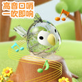 TikTok Waterbird Whistle Children's Oral Motor Pronunciation Training Device, Waterbird Water-filled Whistle, Baby Toy Manufacturer Wholesale
