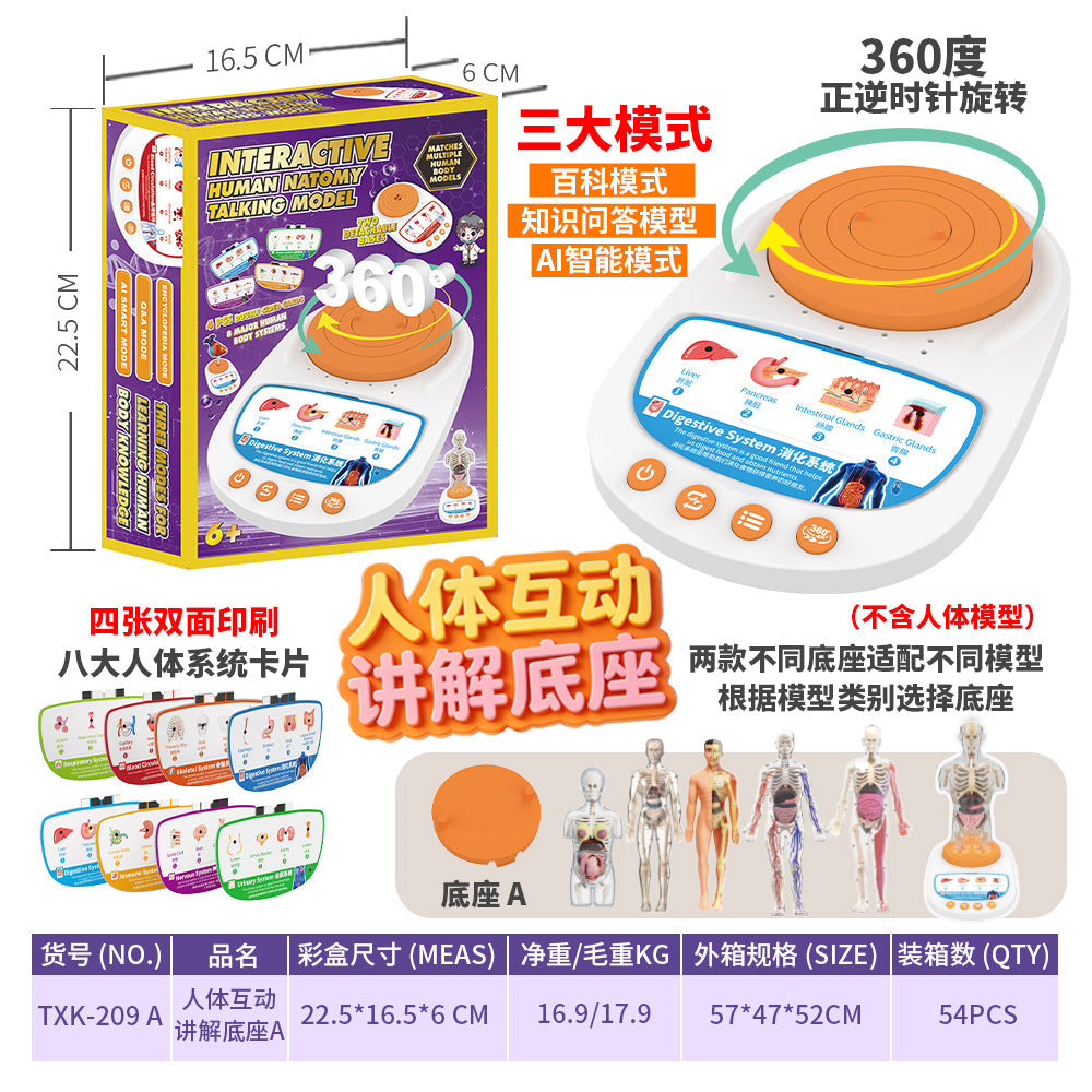 Cross-Border Toys Early Education Human Organ Skeleton Model Set Science and Education Primary and Secondary School Students DIY Assembly Kidsren's Puzzle