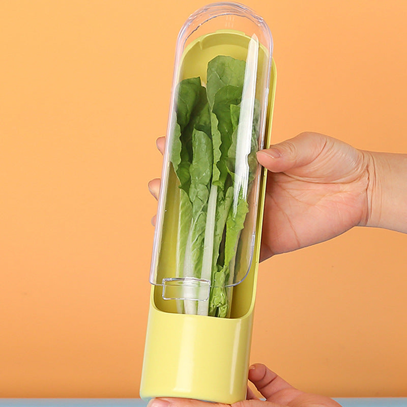 New Cross-Border Herb Preservation Box, Vegetable Storage Container, Herb Preservation Cup, Amazon Bamboo Shoot Preservation Container