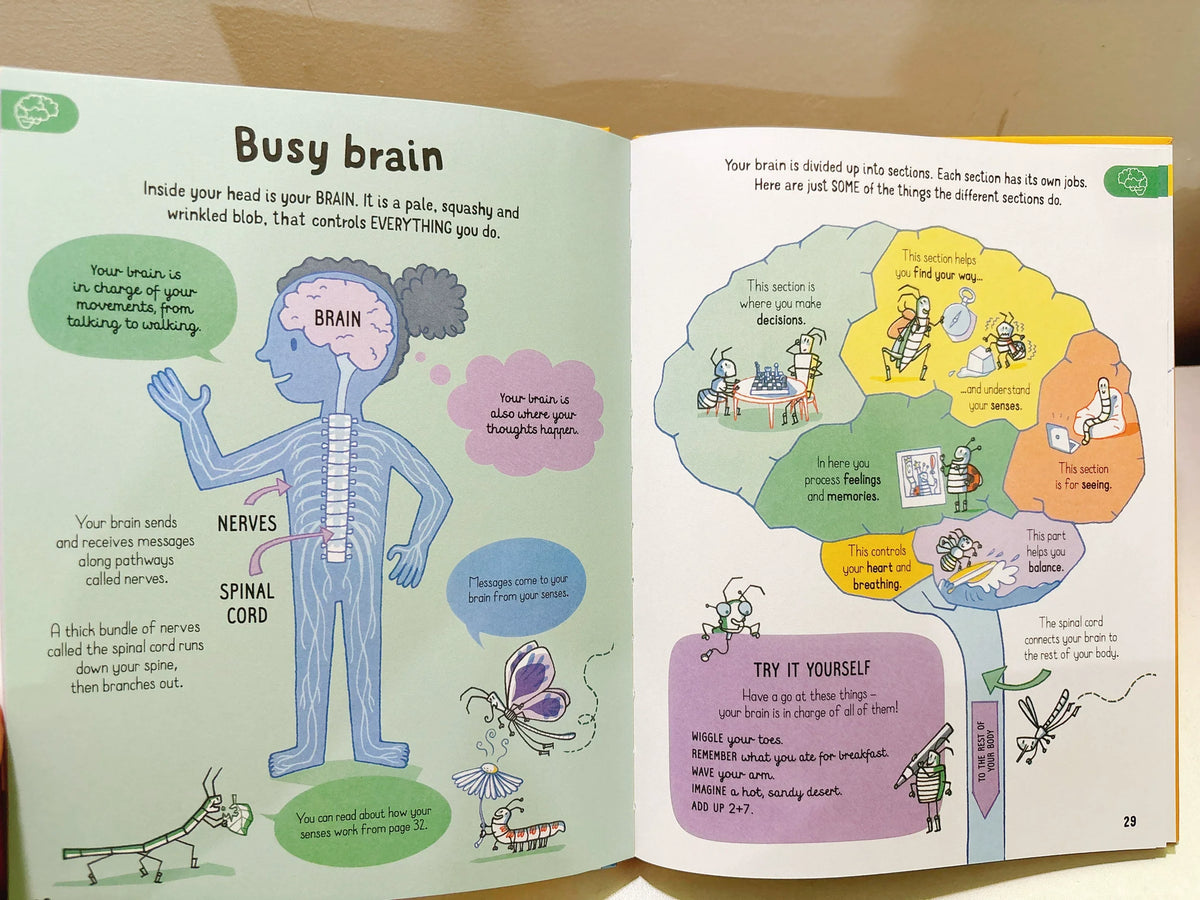 All You Need to Know about Your Body by Age 7 Children Educational English Picture Reading Book