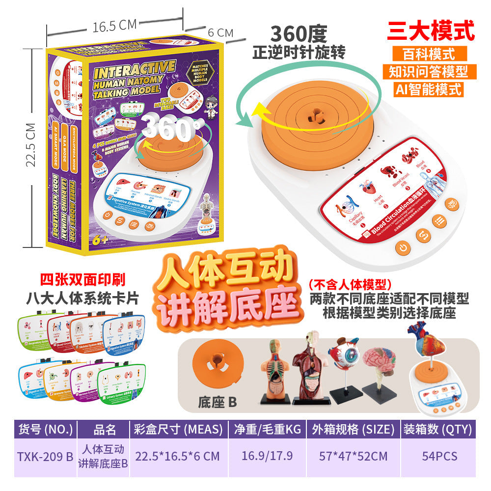 Cross-Border Toys Early Education Human Organ Skeleton Model Set Science and Education Primary and Secondary School Students DIY Assembly Kidsren's Puzzle