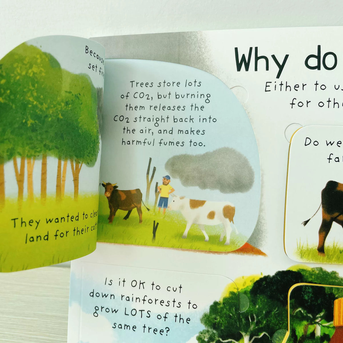 First Questions and Answers Why do we need trees? Usborne Lift the flap Children's Activity English Board Book