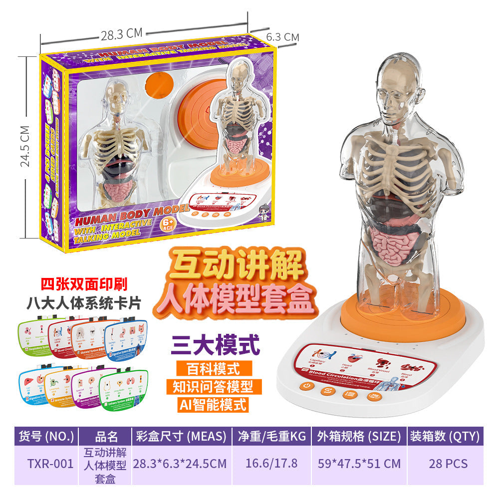 Cross-Border Toys Early Education Human Organ Skeleton Model Set Science and Education Primary and Secondary School Students DIY Assembly Kidsren's Puzzle