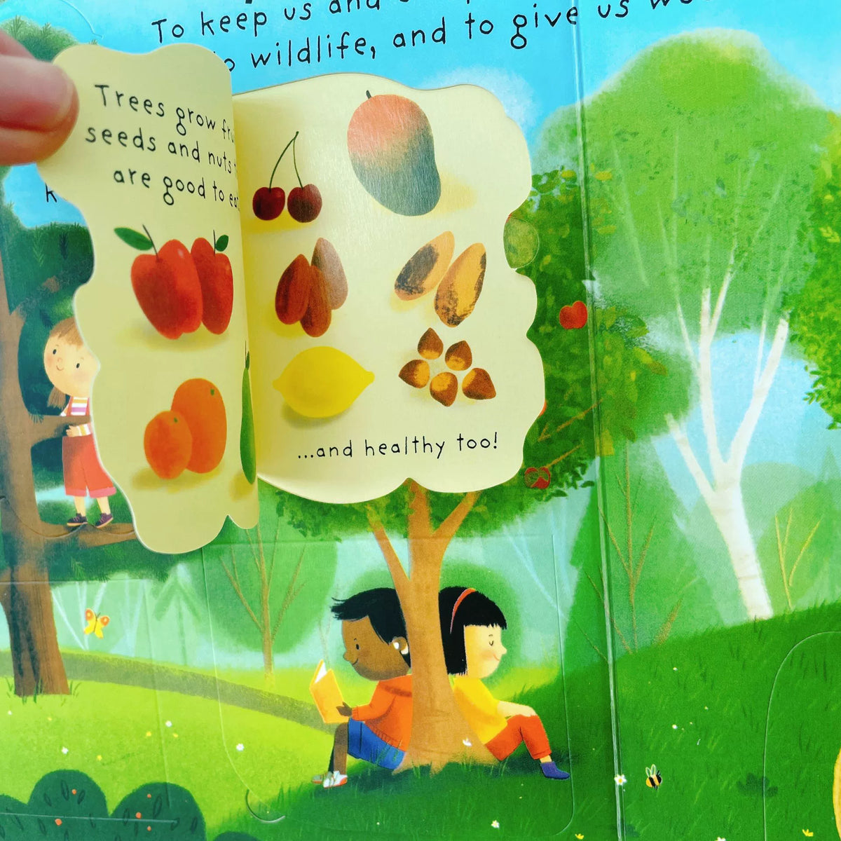 First Questions and Answers Why do we need trees? Usborne Lift the flap Children's Activity English Board Book