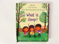 What Is Sleep? Children’s English Board Book: Early Learning Discovery Flip Book