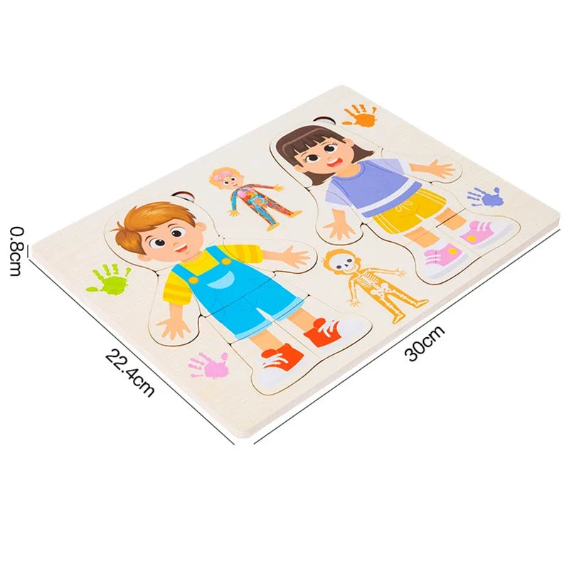 Kid Human Body Structure Puzzle Toy Montessori Wooden Body Organs Learn Tools Boys Girls Anatomy Puzzle Preschool Education Toy