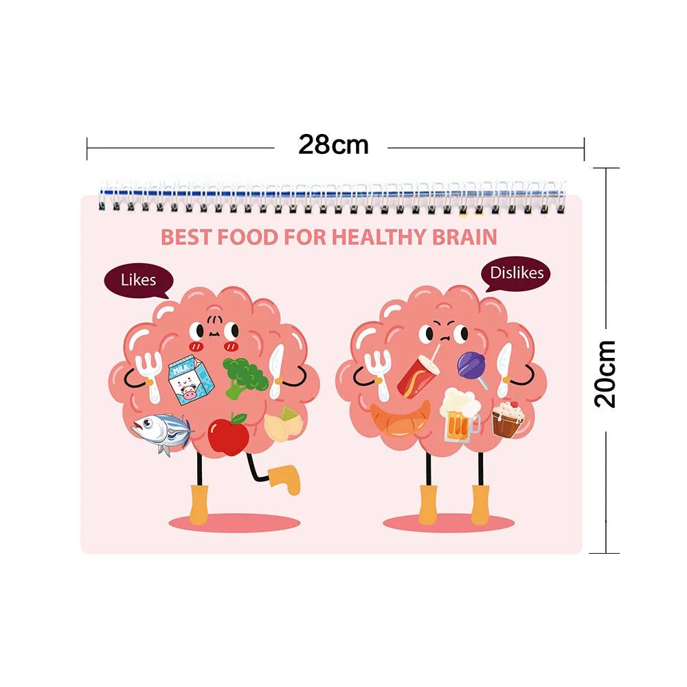 Human Anatomy Busy Book for Toddlers Montessori Preschool Learning Activities 30 Theme for Kids Sensory Education Travel Toys