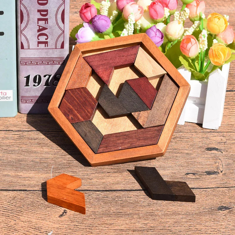 Wooden Geometric Shape Jigsaw Board Puzzles Kids Brain Teaser Non Toxic Wood Toys for Children Educational