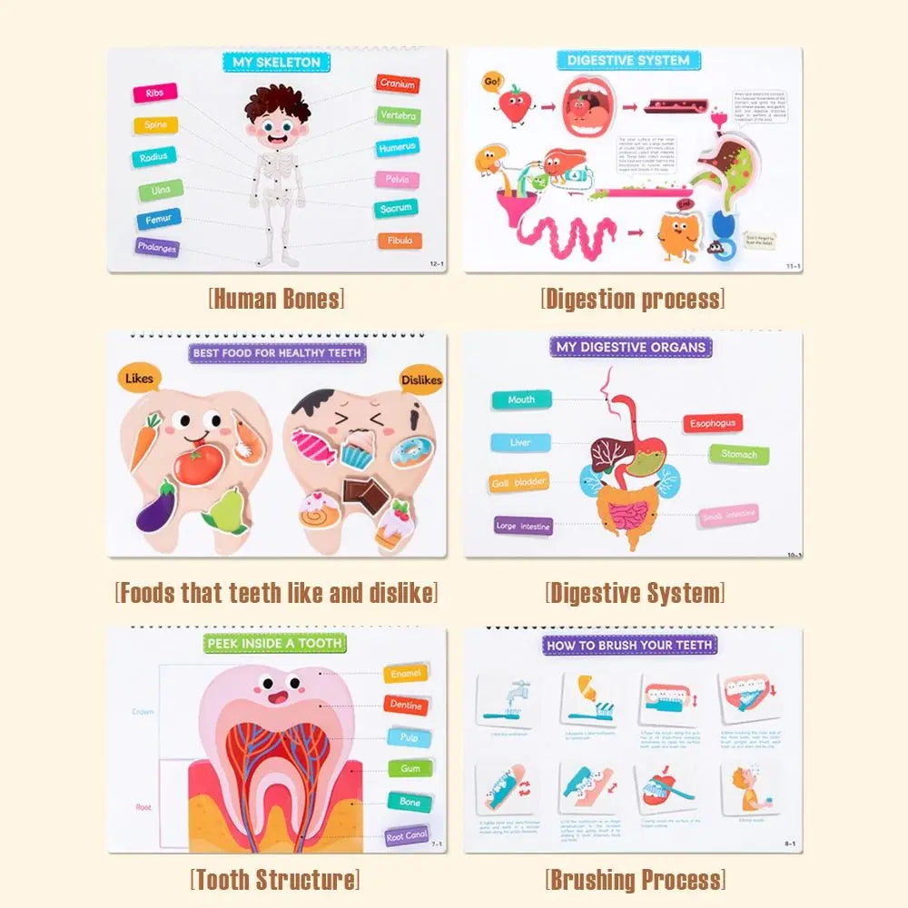 Interactive Learning Body Structure Busy Book Tear Pull Early Education Quiet Book Adhesive Book Cognitive Development