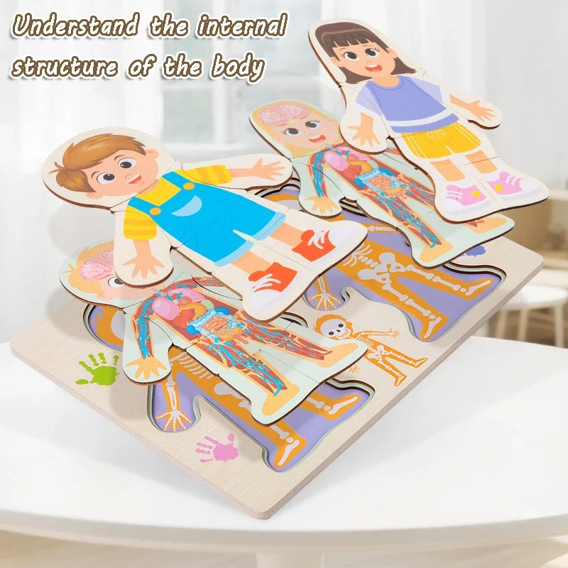 Kid Human Body Structure Puzzle Toy Montessori Wooden Body Organs Learn Tools Boys Girls Anatomy Puzzle Preschool Education Toy